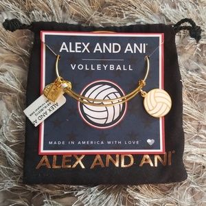 Alex and Ani Volleyball Bracelet